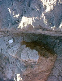 photo of fallen adobe found in several of the houses 