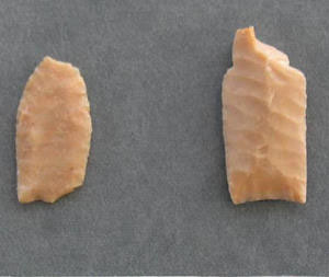 photo of lanceolate projectile points