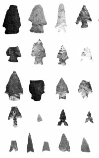 Examples of the more than 70 projectile points