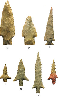 Photo of projectile points