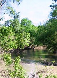 Photo of the Little River