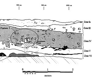drawing of stratigraphic profile
