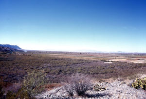 photo of the modern floodplain of the Rio Grande just above the Rio Conchos confluence