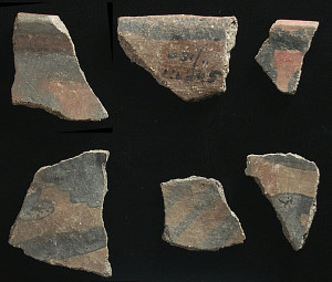 photo of El Paso Polychrome pottery sherds from the Polvo site.