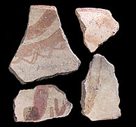 photo of sherds from Millington that Kelley assigned to Paloma Red-on-gray and to the Concepcíon phase