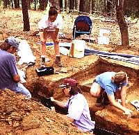 An excavation in progress.