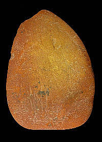 photo of ocher pebble