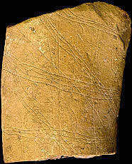 photo of pebble fragment
