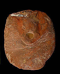 photo of red-ocher nodule