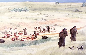 Butchering a Bison, 2. A temporary camp on the Llano Estacado near where a bison has been killed. Strips of meat hang to dry on a wooden-pole framework. In the foreground two women carry long bones upslope to the nearby camp to extract the marrow for a delicious meal. Painting by Nola Davis, image provided courtesy of Texas Parks and Wildlife Department. The orginal mural is on display at the Lubbock Lake Landmark Interpretive Center, now owned by Texas Tech University; the use of this image is authorized by the Museum of Texas Tech University.