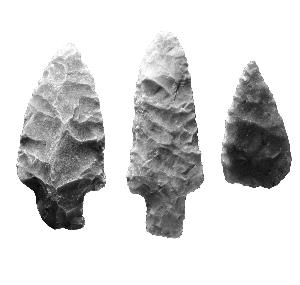 photo of a variety of projectile points found by Jesse Fremont