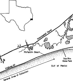 Map of McFaddin Beach.