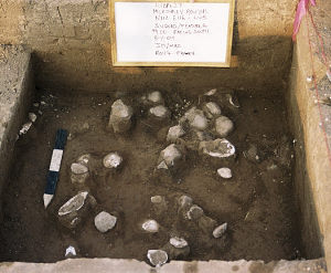 photo of an excavation unit