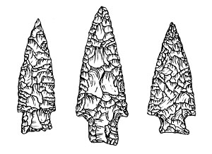 illustration of darl projectile points