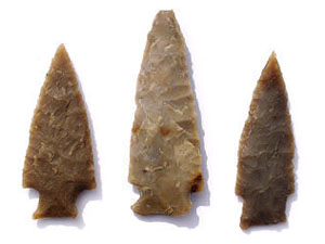 photo of darl and ensor points