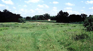photo of the site looking northwest