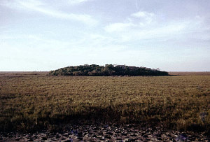Image of the low brush-covered mound.