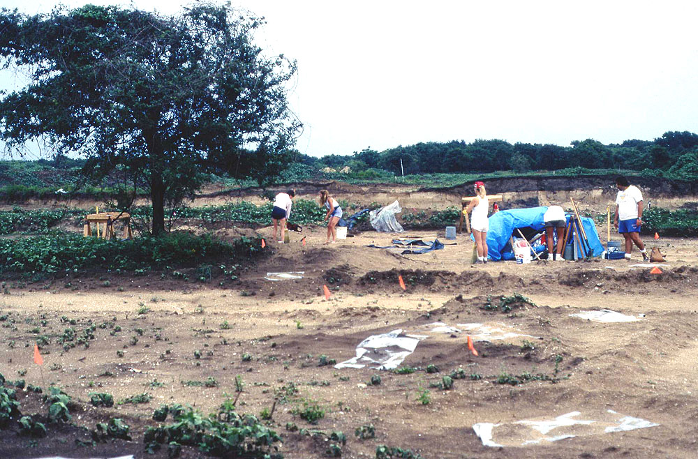Image of the 1992 investigations in progress in Area 4 looking northeast.