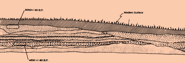 Photo of schematic cross-section showing the evolution of Galveston Island.