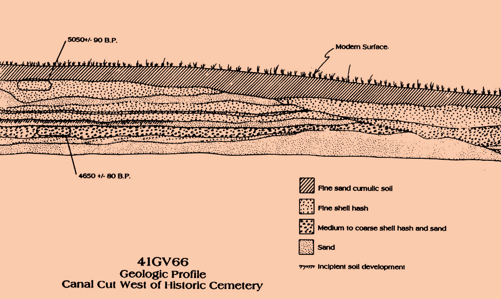 Image of a geological profile from the west end of the Mitchell Ridge site.