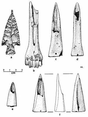 Image of Projectile points from Burial 10.