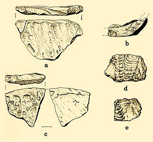 Image of Early Ceramic period pottery from the Eagle’s Ridge site.