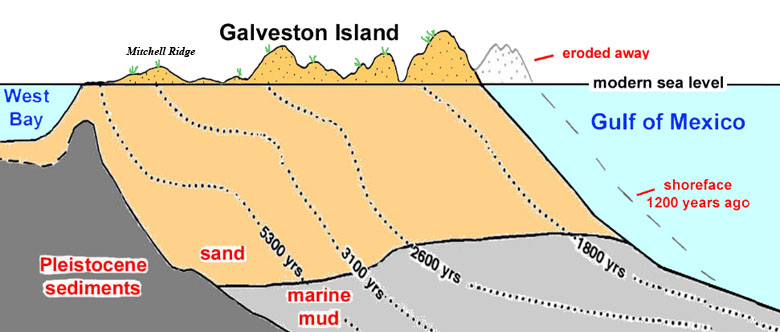 Photo of schematic cross-section showing the evolution of Galveston Island.