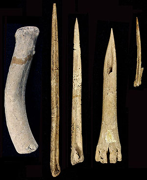 photo of bone tools
