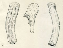 sketch of billets and an ulna tool