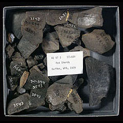photo of late prehistoric ceramic sherds