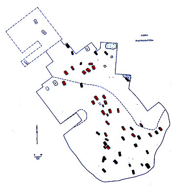 Map of 41BW4, Mitchell site, disturbed (red) and undisturbed (blue) graves.