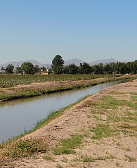 photo of irrigation canals, drawing water from the Rio Grande