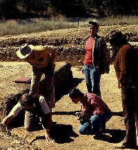 Photo of  visiting experts. Here TxDOT archeologist Frank Weir points out a stratigraphic circumstance to geologist Glen Evans (felt hat) and archeologist Dee Ann Story (with camera). Jerry Henderson (solid red shirt), Chuck Johnson (dark brown shirt) and Glenn Goode look on.