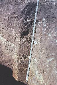 photo of soil column