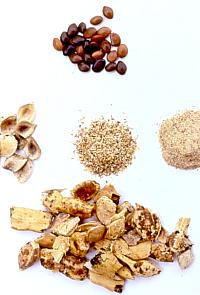 Mesquite bean processing. At top are inedible seeds. At the bottom are the pieces of the bean pods before initial pounding. In the middle row from left to right are , the seed husks, the partially pulverized powder, and the fine mesquite flour. Photo and experimental work by Phil Dering.