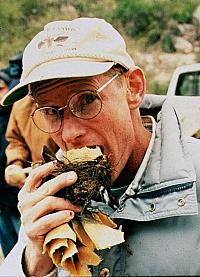 Archeologist and paleobotanist Dr. Phil Dering of Texas A&M University chomps into a cooked lechuguilla heart. Properly cooked, the inner leaves and base of the plant taste sweet.