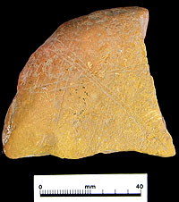 photo of yellow ochre