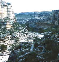 photo of Miile Canyon