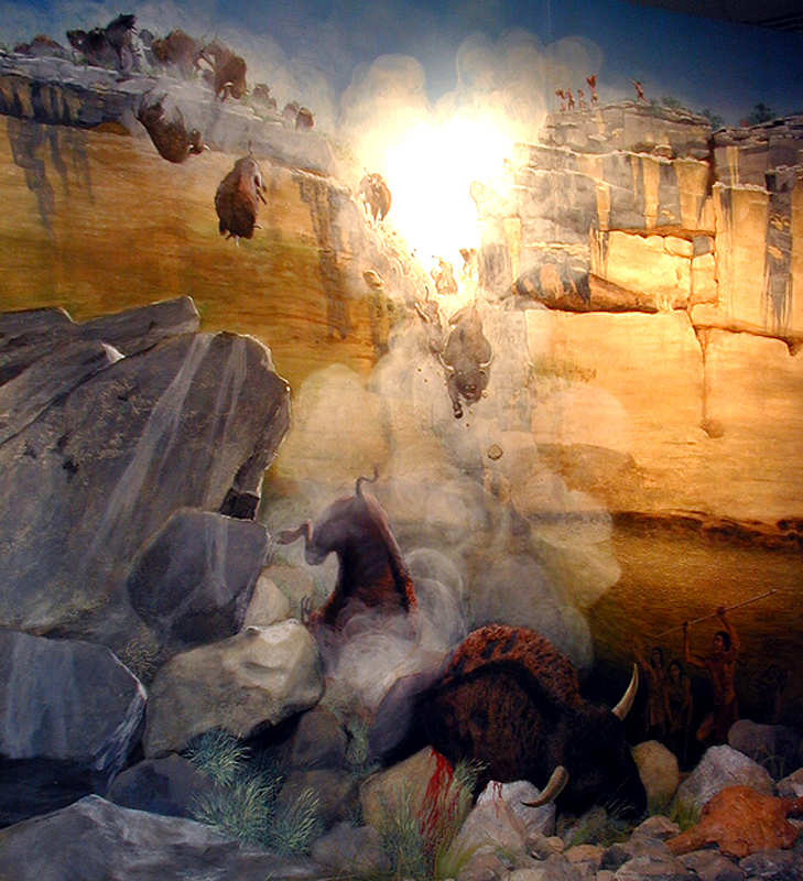 color painting showing bison tumbling from a cliff and landing on rocks in a canyon bottom