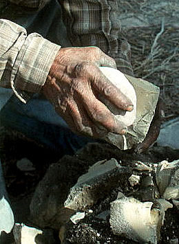 tough hand of a candelilla wax maker in the Big Bend region