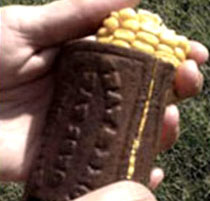 photo of corn placed in sheller