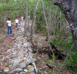 photo of archaeologists next to one of the rock fences built by the Williams family 