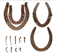 photo of muleshoes (top left) and horseshoes