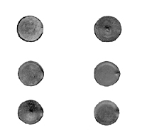 Firing pin marks on cartridges. Top, left to right: Spencer cartridge with a Ballard block type firing pin imprint; .50-70 cartridge struck with a Sharp's firing pin. Middle, left to right, Spencer cartridge struck twice; Spencer cartridge with a Jocelyn firing pin imprint. Bottom, left to right, Spencer cartridge struck by a Sharp's firing pin but fired in a Spencer; a standard Spencer firing pin. Photo courtesy of the Texas Historical Commission.