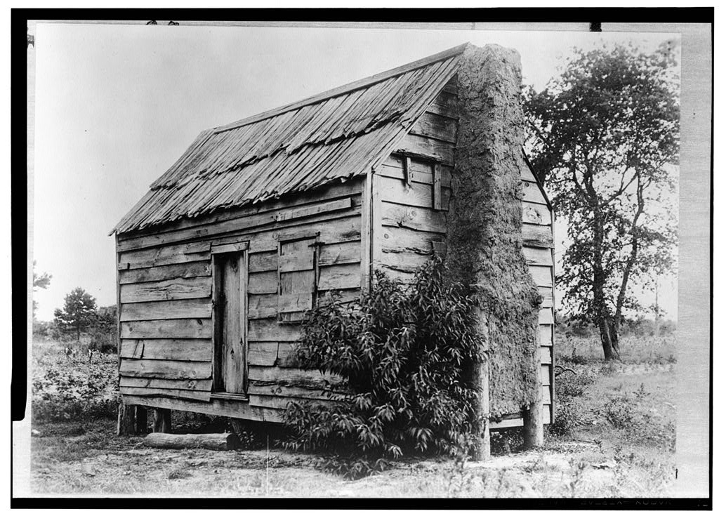 Black and white photograph of a wood cabin with a mud chimney, with a bush growing in front of it and a small tree behind it on the right.