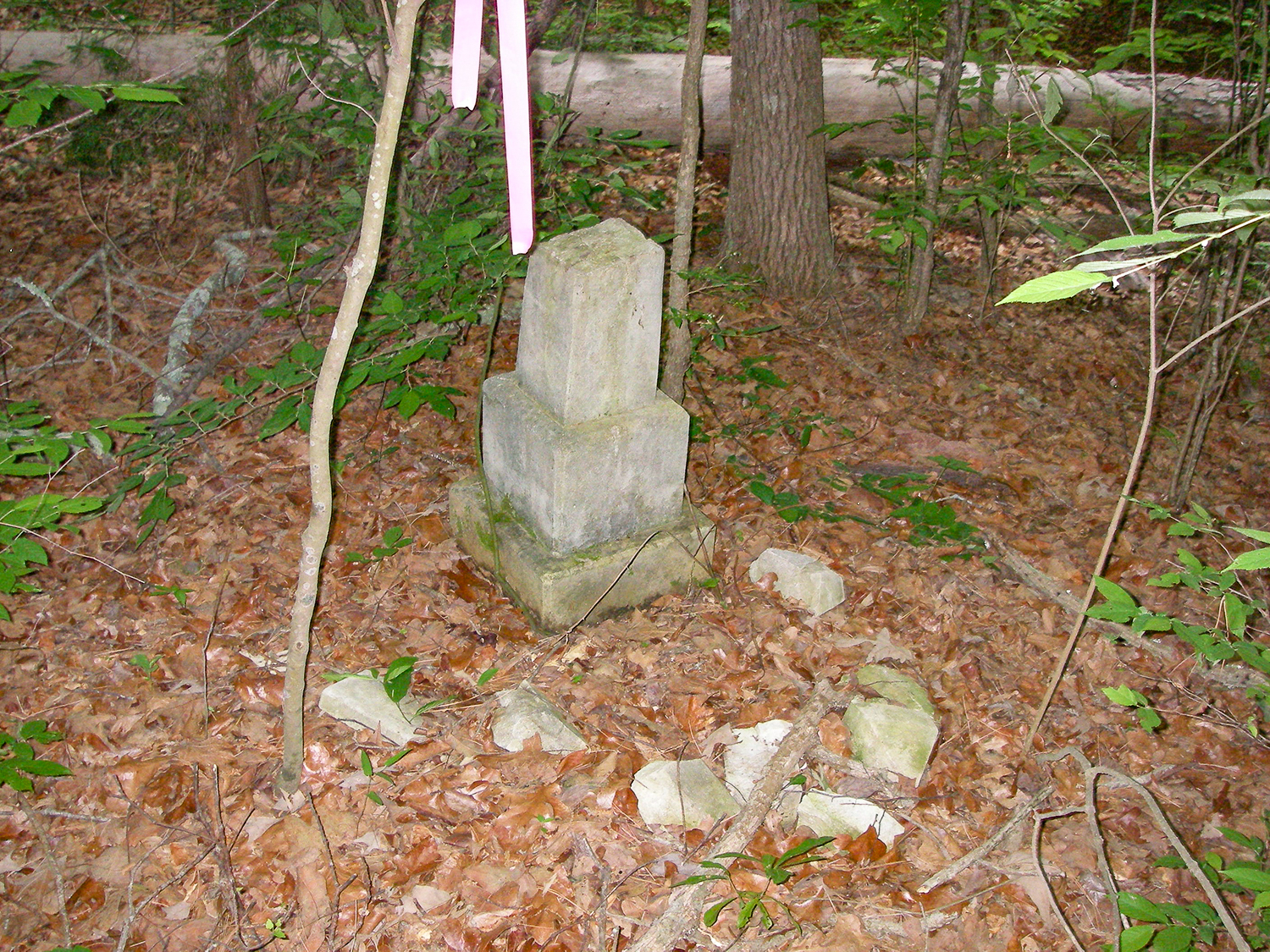 Color photograph of a small headstone, scattered rocks, and a dead leaf-covered ground. Brush and small trees are located in the background and two the sides.