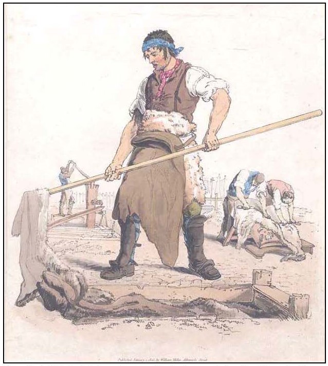 color drawing of standing worker using a long pole to lift tanned leather; in the background are other workers