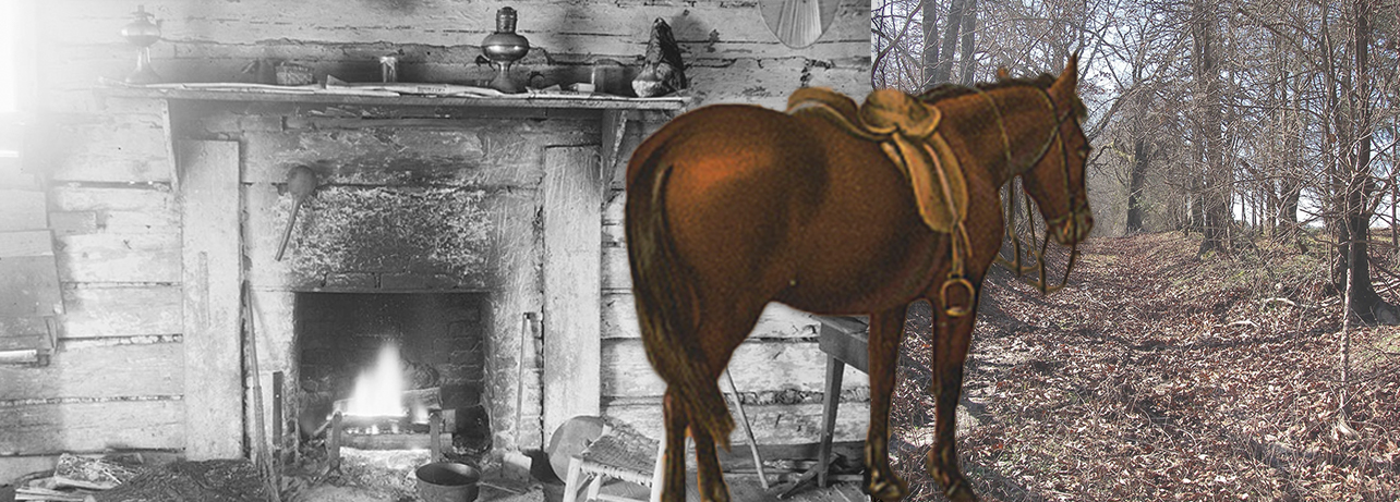 Collage image with black and white photo of interior room fireplace and mantle on left, color photo of brown horse in center, and color photo of tree-lined depression covered in fallen leaves.