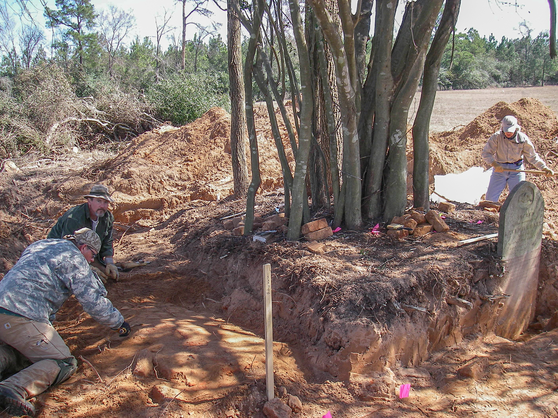 work shot photo of excavation units in foreground behind which is a cluster of saplings around which are the excavations; two kneeling archeologists are digging on far left, a third researcher is in background on far right