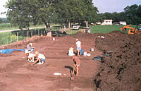 View west of 1997 excavations. Pink flags mark post stains and foundation trench lines of six small houses built within the stockade on the south side of the mission compound. The track hoe, the machine used to removed the plow zone, is visible on the right.